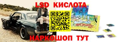гидра Заводоуковск