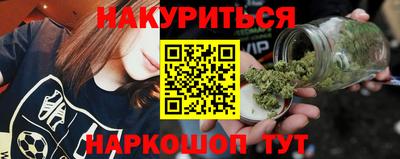 гидра Заводоуковск