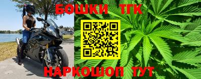 гидра Заводоуковск